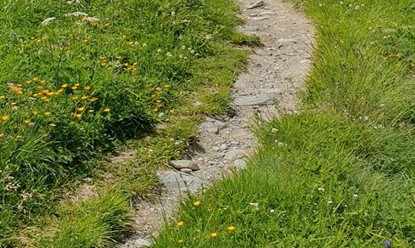 Lebenspfad - familienaufstellung-lip.ch